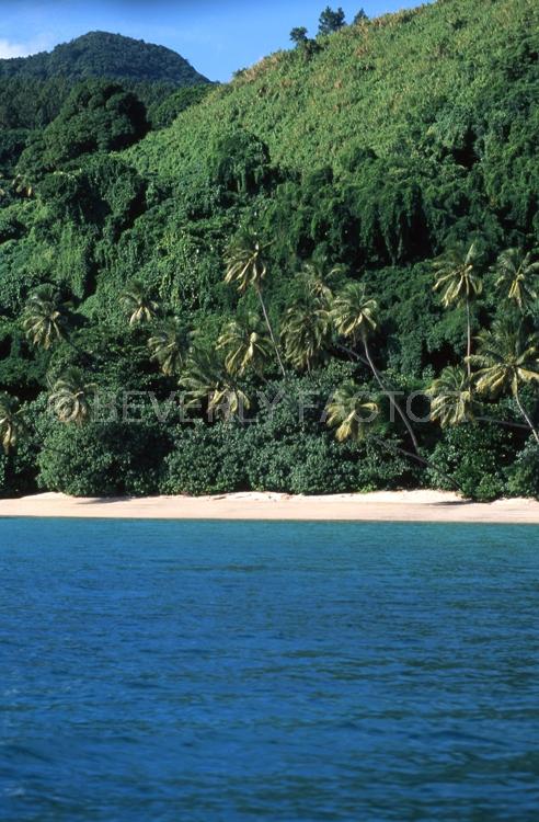 Island;fiji;blue water;Palm trees;Blue skys;ocean